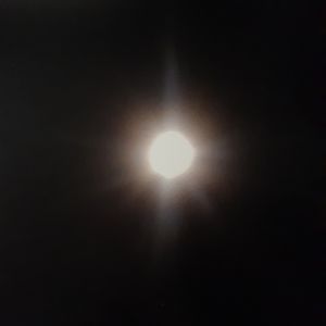 DIVINE ARTIST SIGNED PRINT